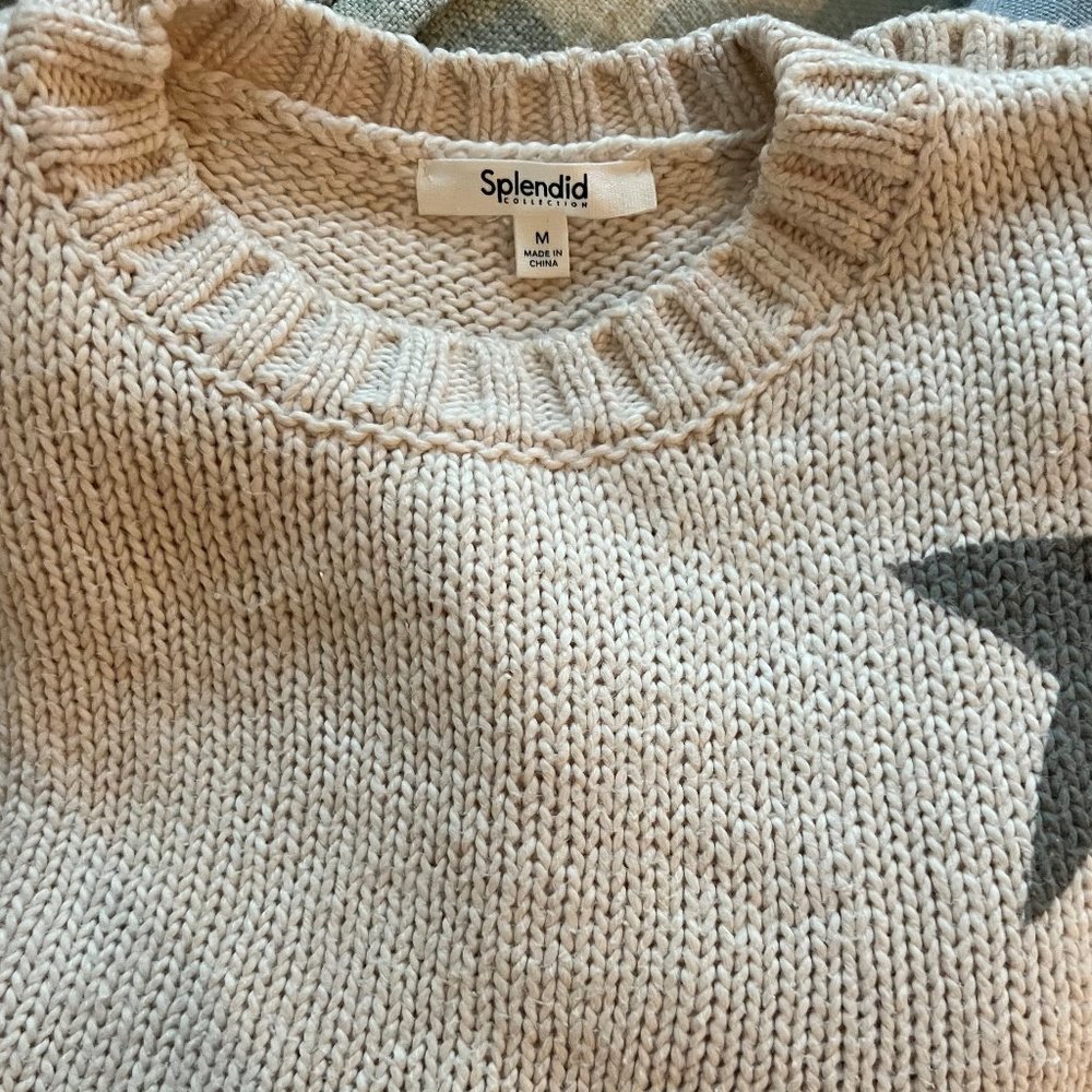 Splendid Sweater - Picture 2 of 2